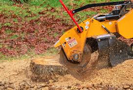 Best Pest Control for Lawns  in Escatawpa, MS