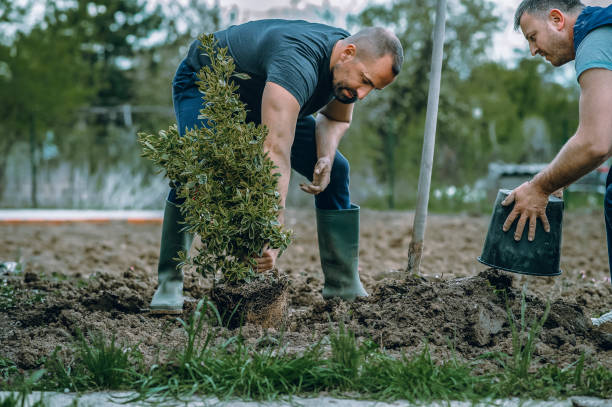 Best Aeration Services  in Escatawpa, MS
